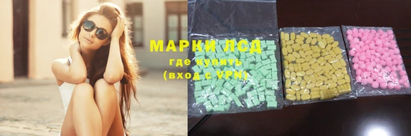 мяу мяу мука Арсеньев