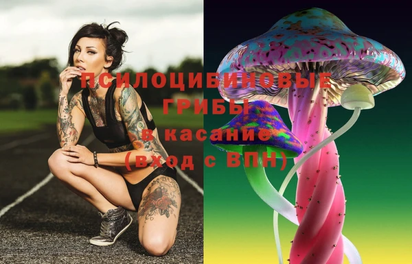мяу мяу мука Арсеньев