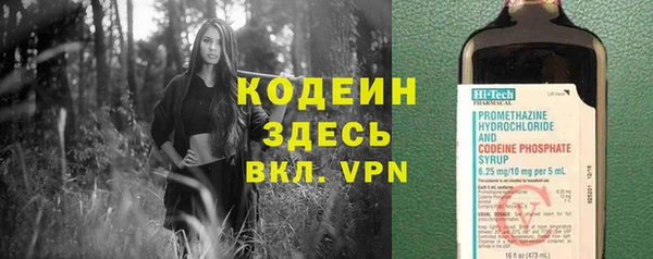 мяу мяу мука Арсеньев