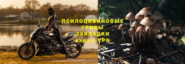 мяу мяу мука Армянск